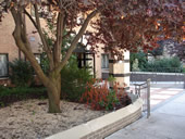 Photo of Building