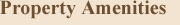 Property Amenities